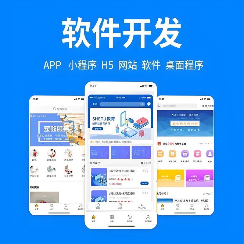 南京软件开发:解锁新时代企业生产力之钥